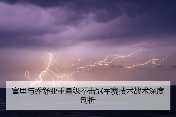 富里与乔舒亚重量级拳击冠军赛技术战术深度剖析 | shaba